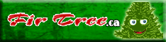 Fir Tree