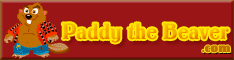 Paddy The Beaver
