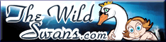 The Wild Swans