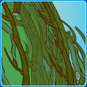 Brownie-Beaver-in-The-Sign-On-The-Tree