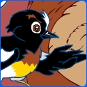 Tom-Tit-And-The-Bear