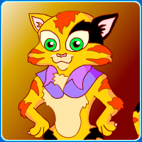 Cats Gone Wild!
