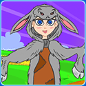 Donkey Skin Magic Dress