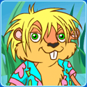 jerry_dus_0001 