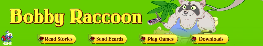 Enter the Bobby Raccoon world!