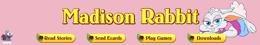 Enter the Madison Rabbit world!