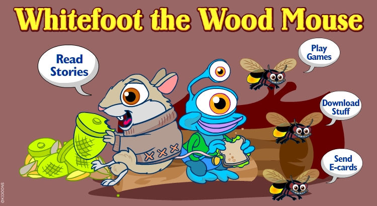 Enter the The Wood Mouse world!