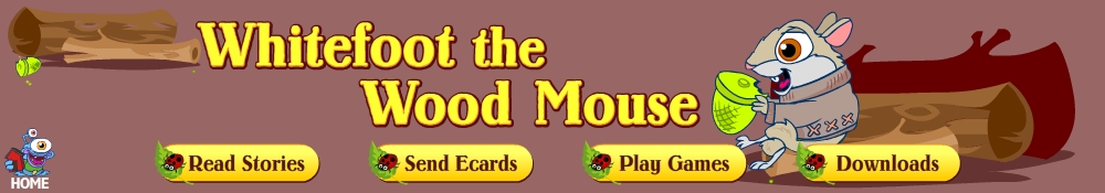 Enter the The Wood Mouse world!
