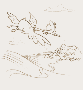 Didi Duck Story kids Image