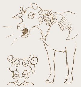 Topper Story kids Image